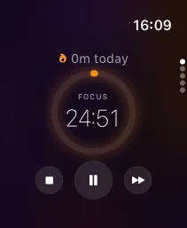 LowfiTimer on Apple Watch | timer showing 24:51